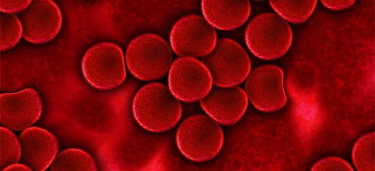 blood