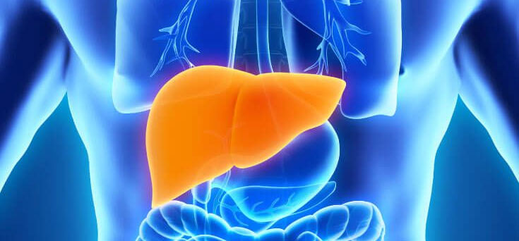 liver-function